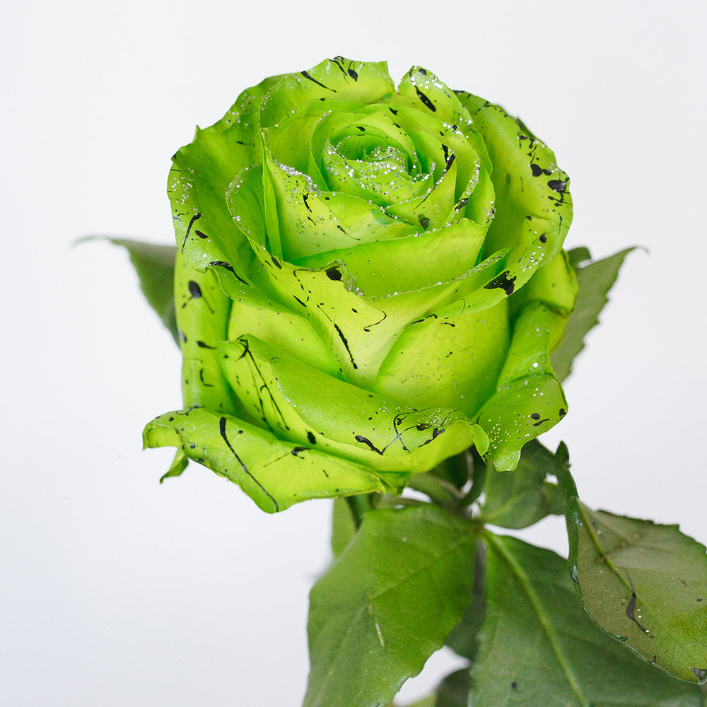 Tinted Roses 2 — wholesale