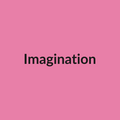 Imagination Rose - Pink - Ecuador