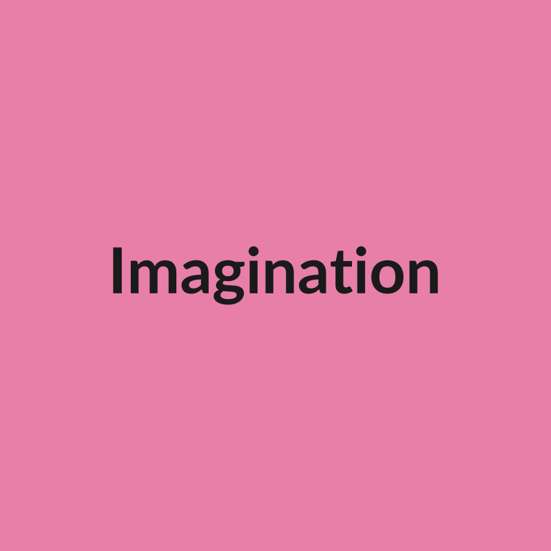 Imagination Rose - Pink - Ecuador