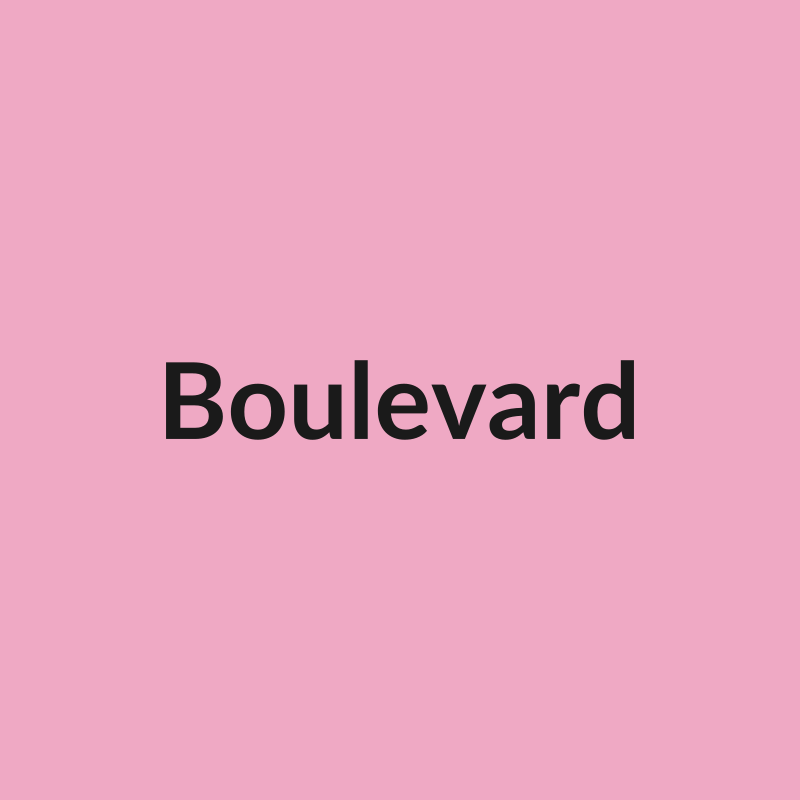 Boulevard Rose - Pink - Ecuador