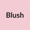 Blush Rose - Light Pink - Ecuador
