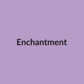 Enchantment Rose - Lavender - Ecuador