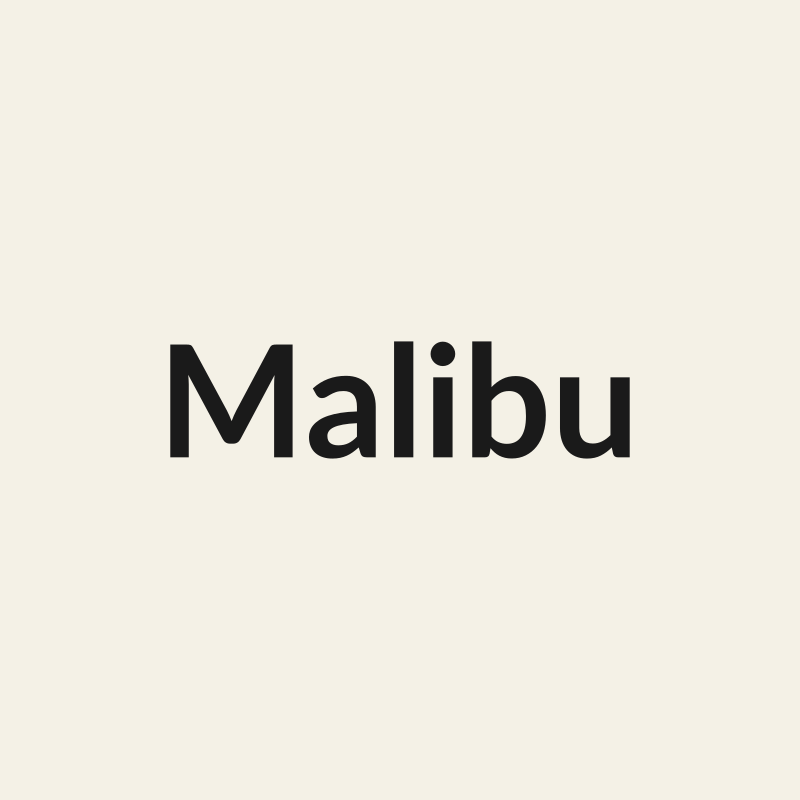 Malibu Rose - White & Cream - Ecuador