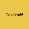 Candlelight Rose - Yellow - Ecuador