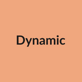Dynamic Rose - Peach - Ecuador
