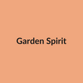 Garden Spirit Rose - Peach - Ecuador
