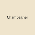 Champagner Rose - White & Cream - Ecuador
