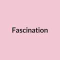 Fascination Rose - Light Pink - Ecuador
