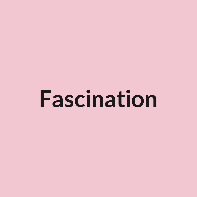 Fascination Rose - Light Pink - Ecuador
