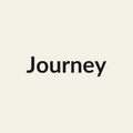 Journey Rose - White & Cream - Ecuador