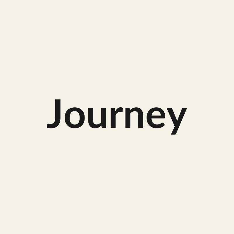 Journey Rose - White & Cream - Ecuador