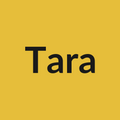 Tara Rose - Yellow - Ecuador