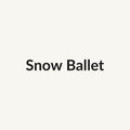 Snow Ballet Rose - White & Cream - Ecuador