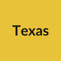 Texas Rose - Yellow - Ecuador