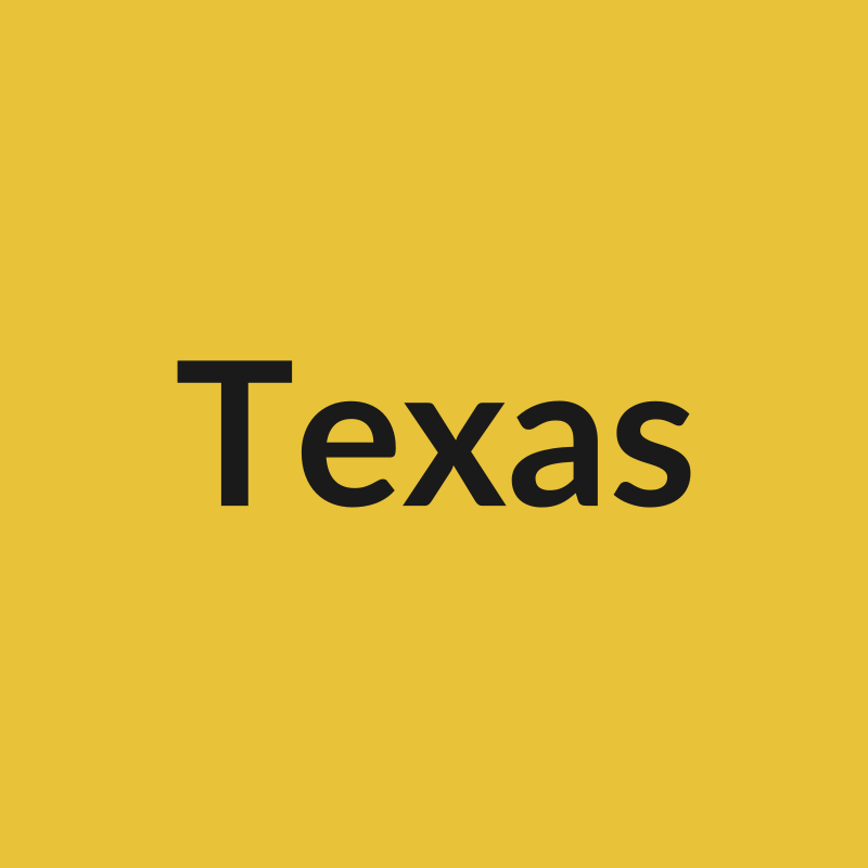 Texas Rose - Yellow - Ecuador