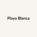 Playa Blanca Rose - White & Cream - Ecuador