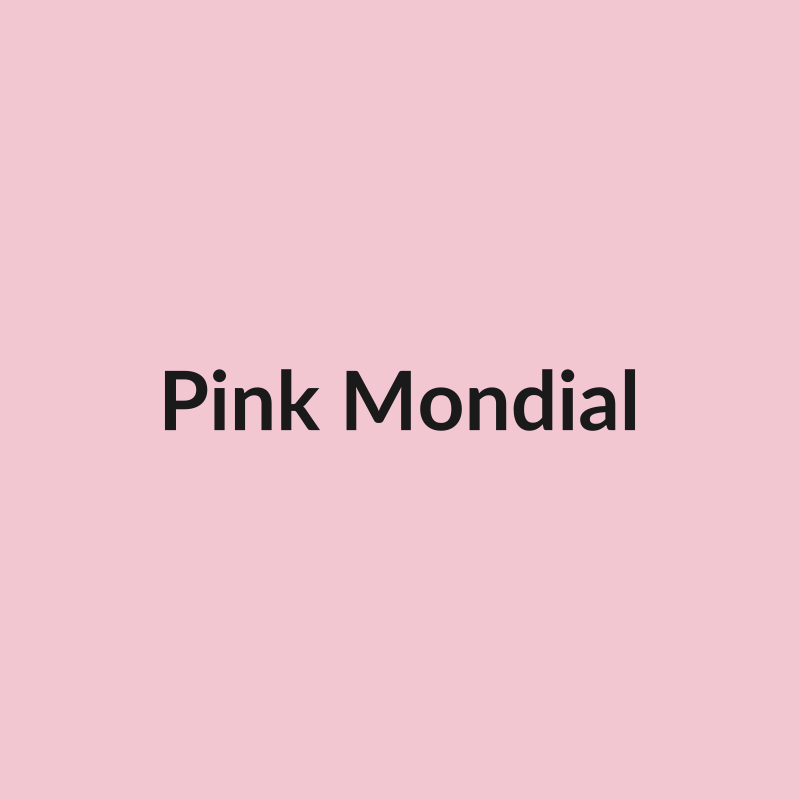 Pink Mondial Rose - Light Pink - Ecuador