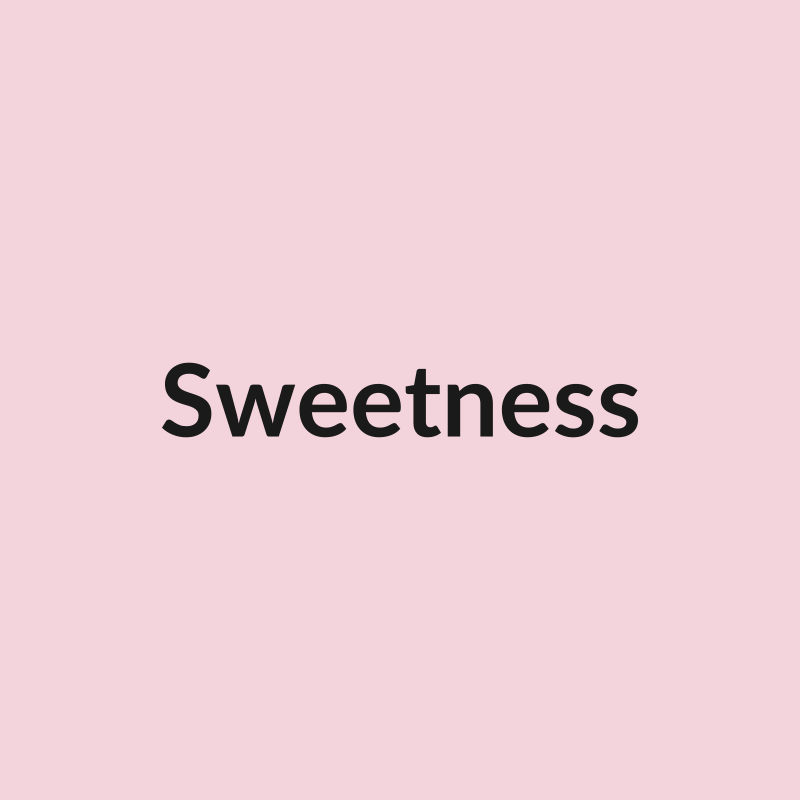 Sweetness Rose - Light Pink - Ecuador