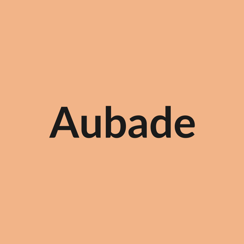 Aubade Rose - Peach - Ecuador