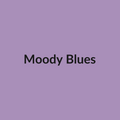 Moody Blues Rose - Lavender - Ecuador