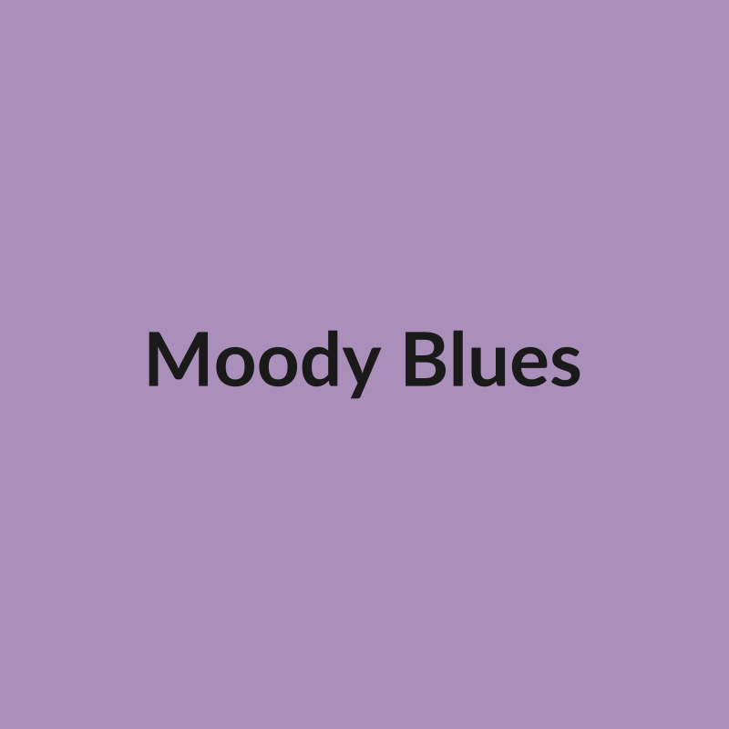 Moody Blues Rose - Lavender - Ecuador
