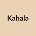 Kahala Rose - Peach - Ecuador