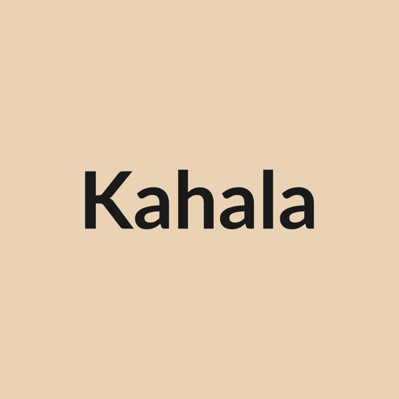 Kahala Rose - Peach - Ecuador