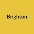 Brighton Rose - Yellow - Ecuador