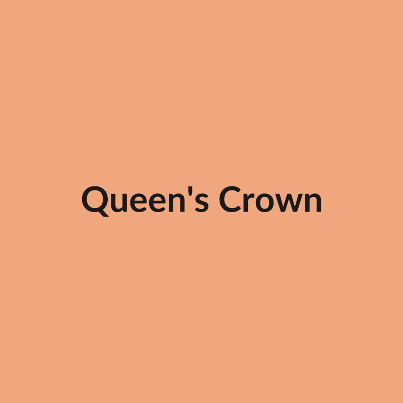 Queen's Crown Rose - Peach - Ecuador