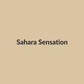 Sahara Sensation Rose - Earth Tone & Green - Ecuador