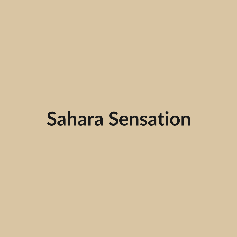 Sahara Sensation Rose - Earth Tone & Green - Ecuador
