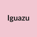 Iguazu Rose - Light Pink - Ecuador