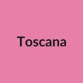 Toscana Rose - Pink - Ecuador