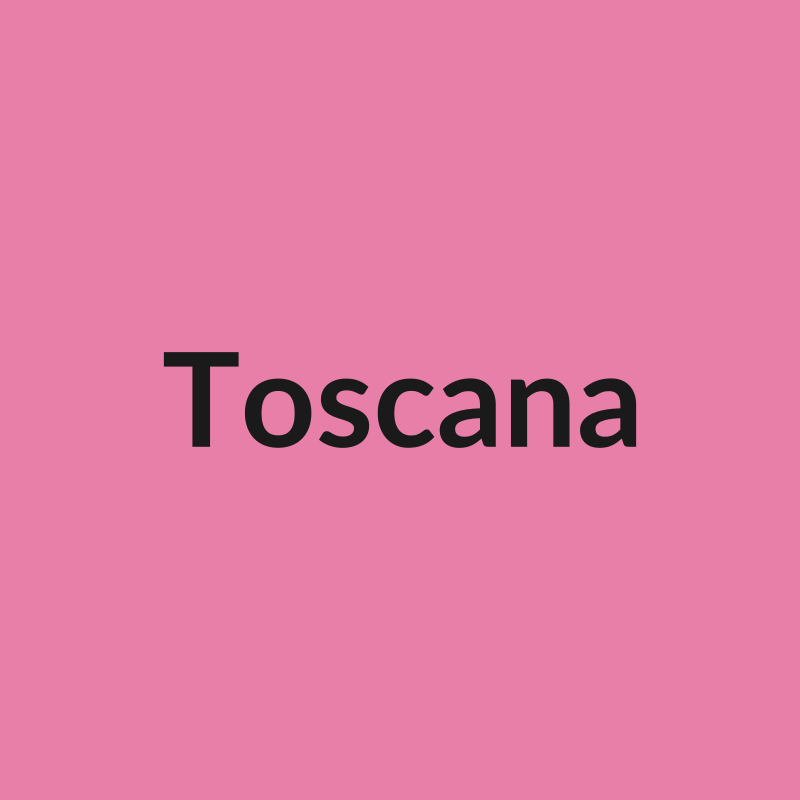 Toscana Rose - Pink - Ecuador