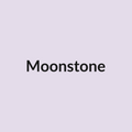 Moonstone Rose - Lavender - Ecuador