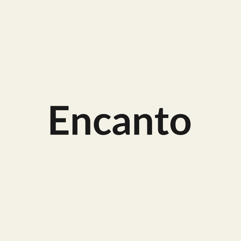 Encanto Rose - White & Cream - Ecuador