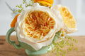 Effie Garden Rose, wholesale yellow garden roses