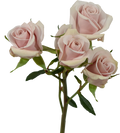 Big Dipper Spray Rose Pink — wholesale