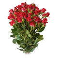 Brilliant Star Aries Spray Rose, wholesale red spray roses