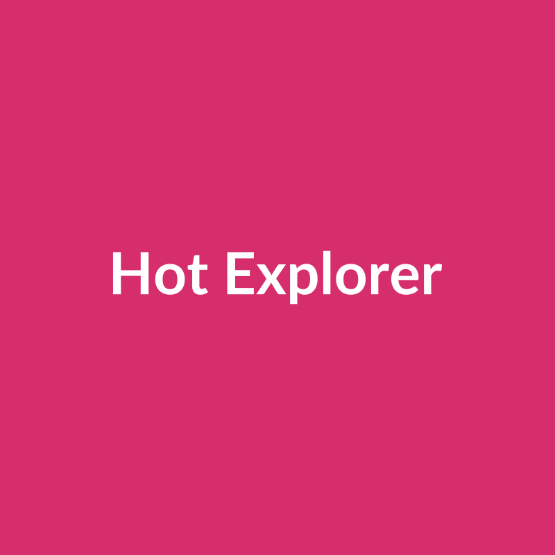 Hot Explorer Rose - Hot Pink - Ecuador