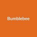 Bumblebee Rose - Orange - Ecuador
