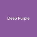 Deep Purple Rose - Lavender - Ecuador