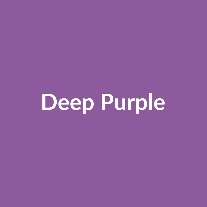 Deep Purple Rose - Lavender - Ecuador