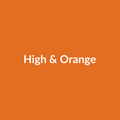 High & Orange Rose - Orange - Ecuador