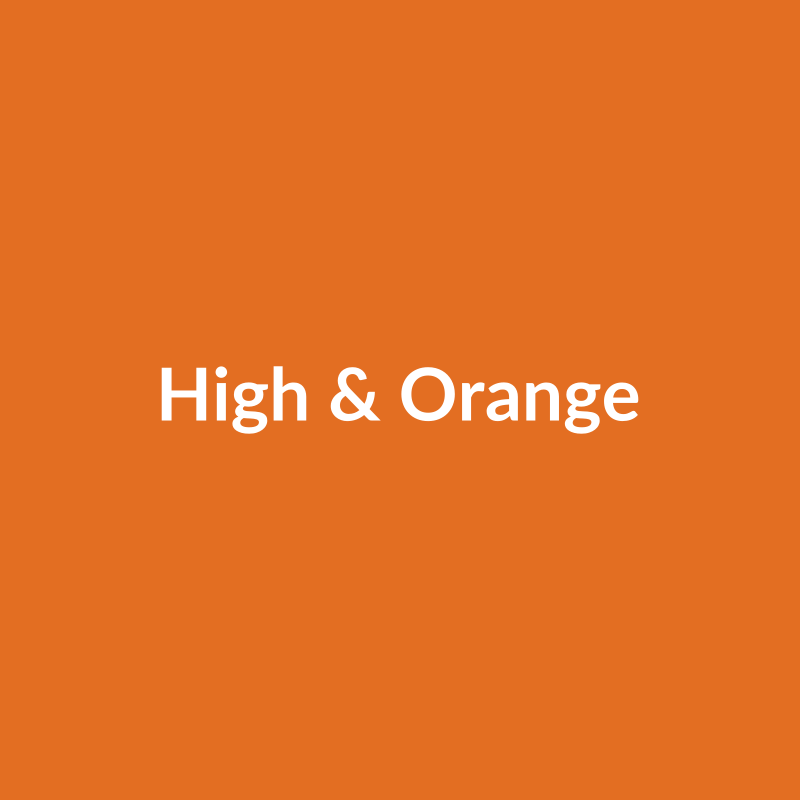 High & Orange Rose - Orange - Ecuador
