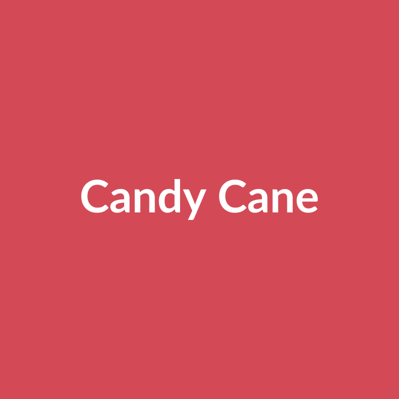 Candy Cane Rose - Bicolor White & Red - Ecuador