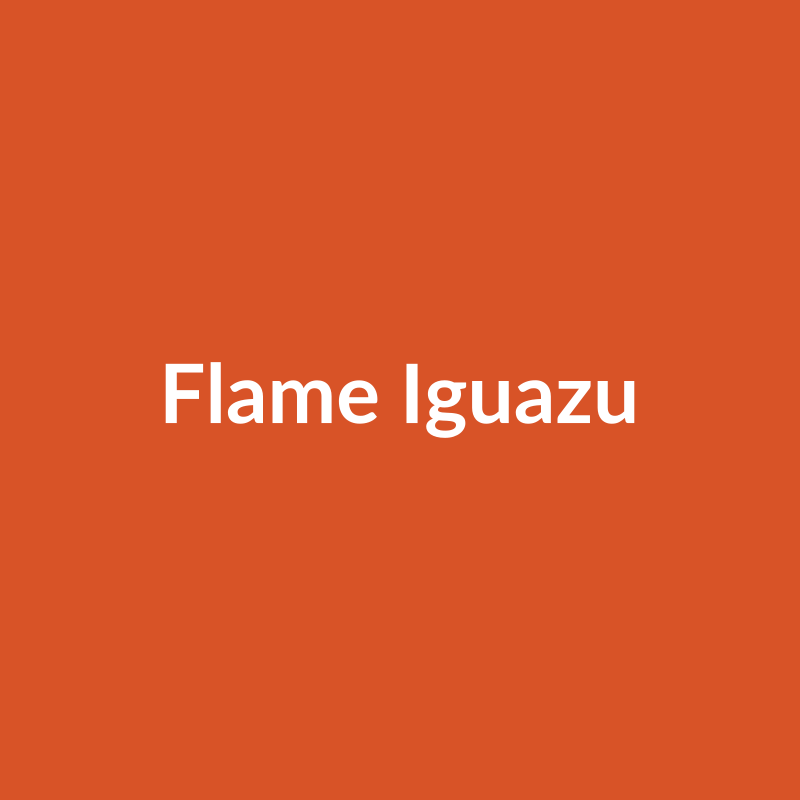 Flame Iguazu Rose - Orange - Ecuador