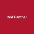 Red Panther Rose - Red - Ecuador