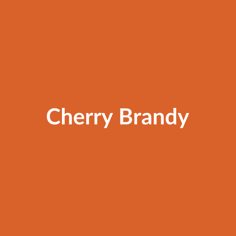 Cherry Brandy Rose - Orange - Ecuador
