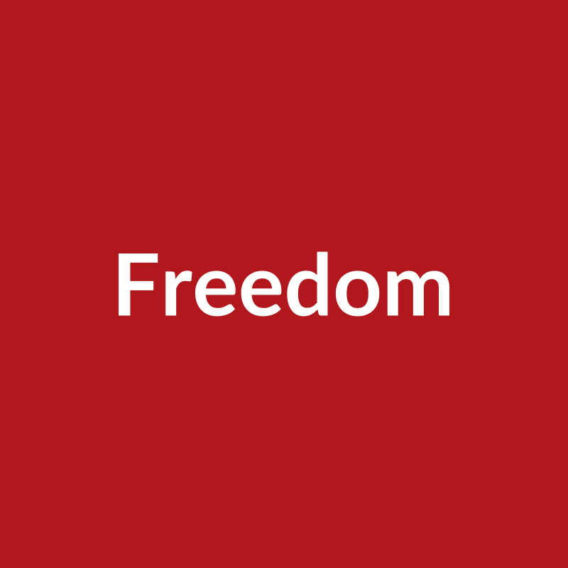 Freedom Rose - Red - Ecuador